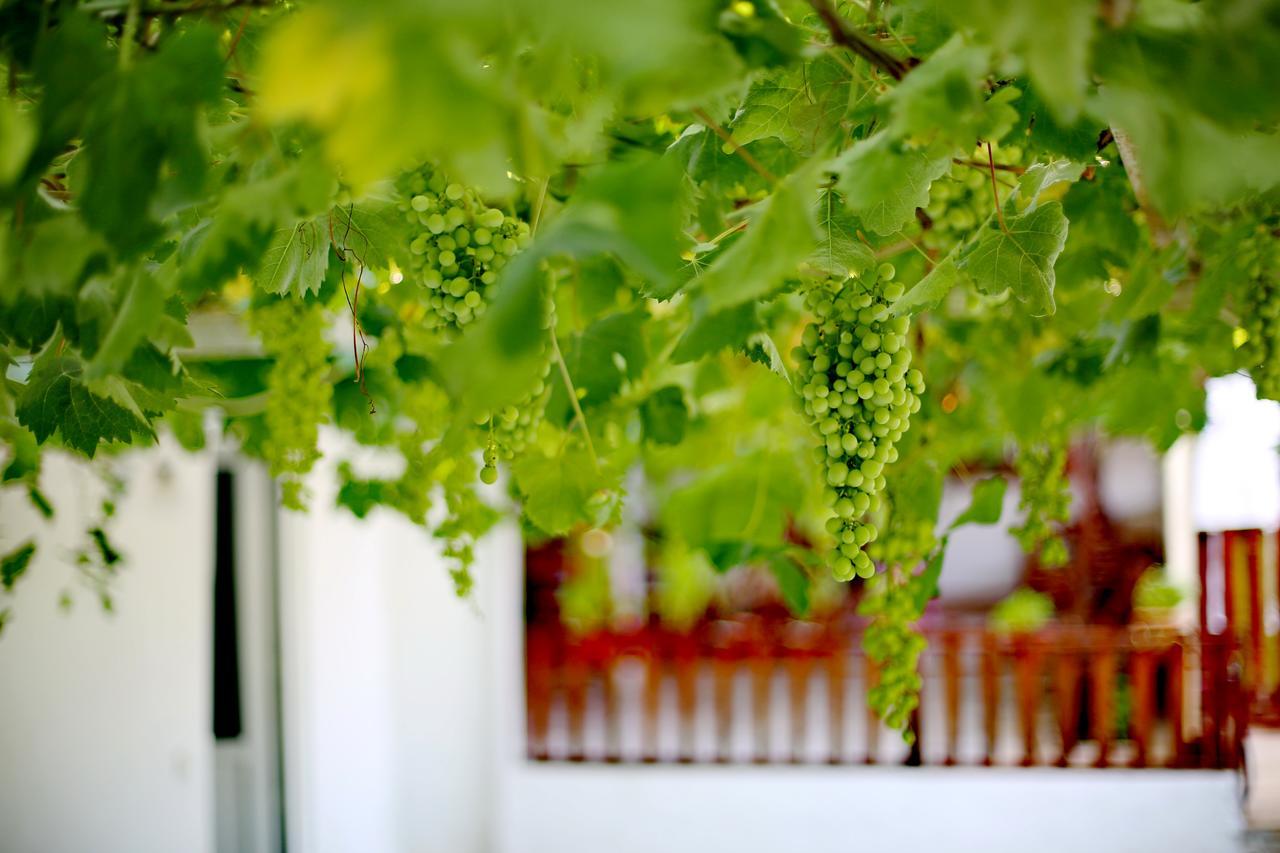 Sulo Pension Patara Buitenkant foto